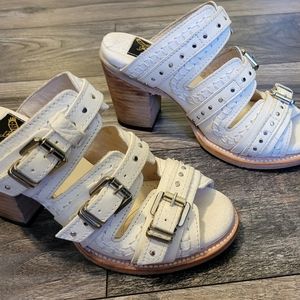 Freebird by Steven Caitlyn